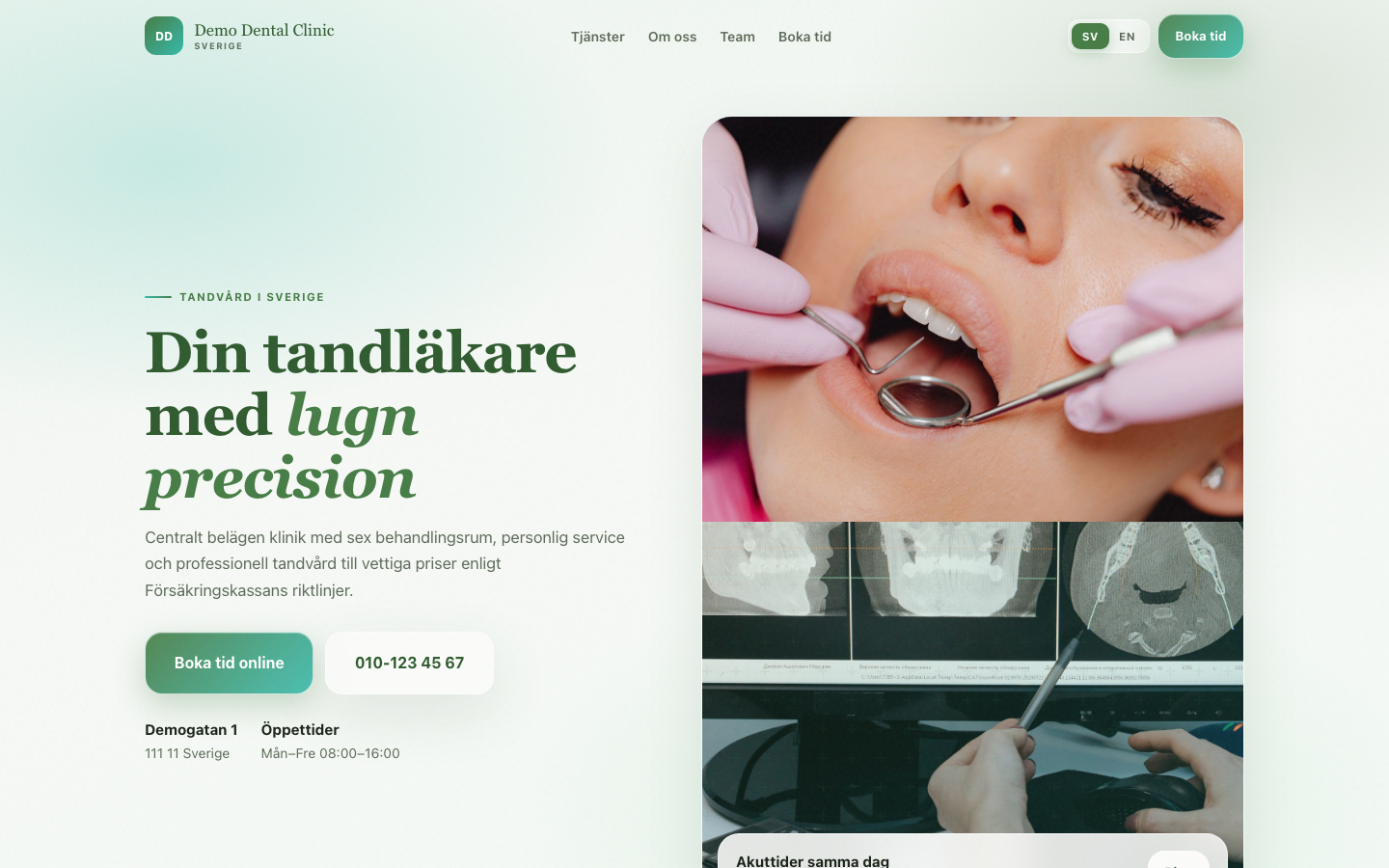 Dental clinic website — desktop
